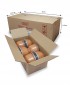 Sollu Shelter : MISHA Kitten Kibbles Chicken & Tuna 200g x 6 Cups