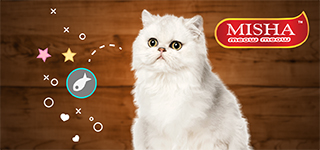 Makanan Kucing - Dapatkan dengan harga murah di Malaysia